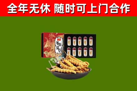 吉林市烟酒回收冬虫夏草礼盒.jpg